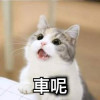 Picture of 林昊緯 10927215